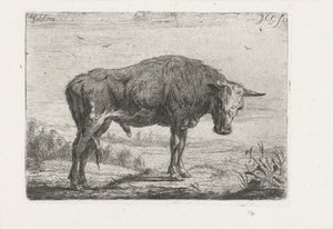 stojící býk od Jacobus Cornelis Gaal
