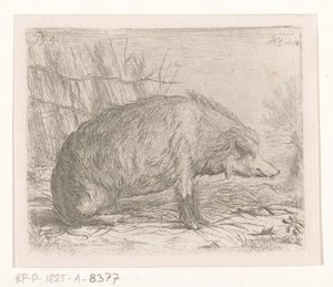 Sedící divočák od Jacobus Cornelis Gaal