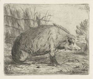 Sedící divočák od Jacobus Cornelis Gaal
