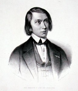 Portrét Josephus Hermanus Verhulst (1816-91) (rytina) od Jacobus Everardus Josephus van den (after) Berg