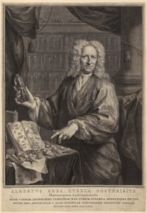  od Jacobus Houbraken