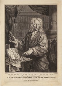  od Jacobus Houbraken