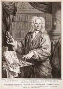  od Jacobus Houbraken