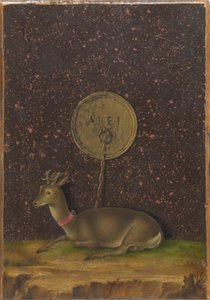Portrét Alvise Contariniho(); (verso) Uvázaný Roebuck