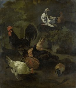 Kohout od Jacomo (1640-1705) Victors