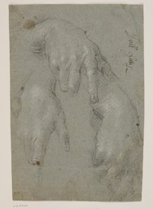 Tři studie pravé ruky od Jacopo Palma
