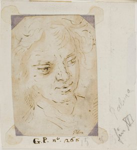 Hlava muže od Jacopo Palma il Giovane