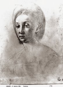 Hlava ženy (křída na papíře) od Jacopo Pontormo