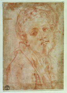 Autoportrét (červená křída na papíře) od Jacopo Pontormo
