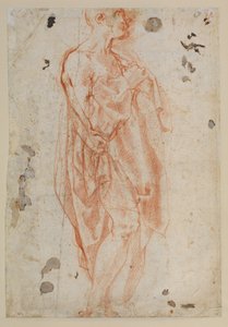 Studium pro svatého Jeronýma od Jacopo Pontormo