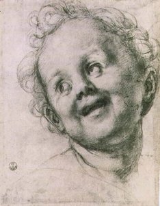 Studie putta pro „Svatou rodinu se svatými“ (oltář Pucci) v kostele San Michele Visdomini (San Michelino), Florencie, kolem 1518 (křída) od Jacopo Pontormo