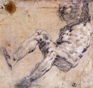 Studie mužského aktu od Jacopo Robusti Tintoretto
