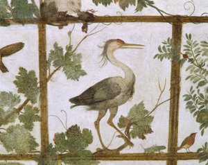 Ibis, z fresky voliéry ve vile Medici, kolem 1576-77 od Jacopo Zucchi