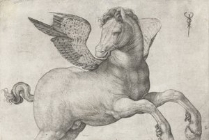 Pegas, 1509-16 od Jacopo de Barbari