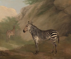Zebra od Jacques-Laurent Agasse