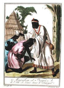 Marabout ze Saint-Louis, Senegal (barva lito)