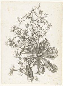 Kytice s tulipánem, hyacintem, brodiaea a narcisy Diverse Fleurs mises en Boucquets (název série) od Jacques Bailly (I)