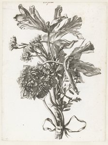 Kytice s vybledlými tulipány, sasankou a slaměnkami Diverse Fleurs mises en Boucquets (název série) od Jacques Bailly (I)