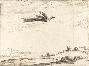 Bird of Paradise. od Jacques Callot