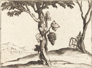Hrozny od Jacques Callot