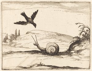 Vrána a šnek od Jacques Callot