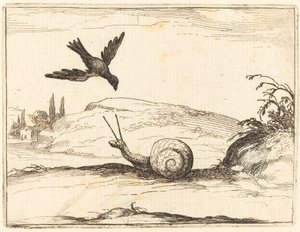 Vrána a šnek od Jacques Callot