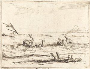 Delfíni a krokodýl od Jacques Callot