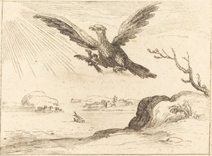 Orel a mladý. od Jacques Callot