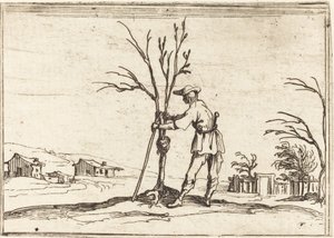Zahradník prořezává strom od Jacques Callot
