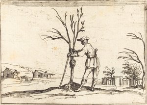 Zahradník prořezává strom od Jacques Callot