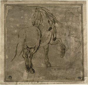 Kůň, Vidět Tři čtvrtiny Zezadu od Jacques Callot
