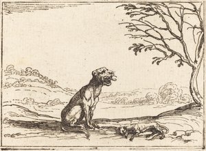 Lvice truchlí nad svým mládětem. od Jacques Callot