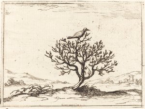 Slavík v keři od Jacques Callot