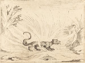 Salamander obklopený plameny od Jacques Callot