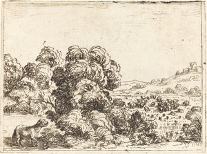 Ovce Volání Jehně od Jacques Callot