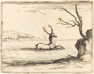 Jelen ve vodě od Jacques Callot