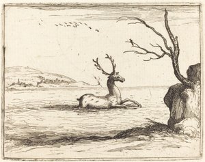 Jelen ve vodě, 1628. od Jacques Callot