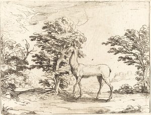 Doe. od Jacques Callot