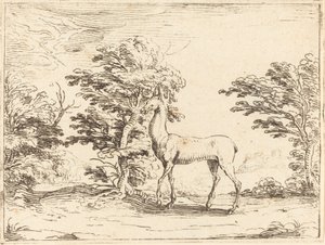 Doe od Jacques Callot