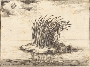 Rákosí a vítr od Jacques Callot