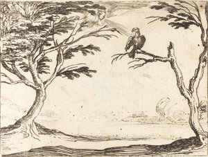 Vulture od Jacques Callot