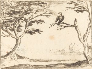 Vulture od Jacques Callot