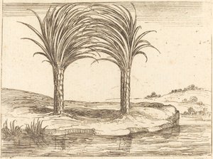 Dvě palmy od Jacques Callot