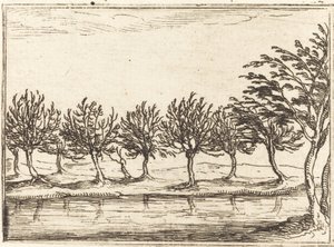 Vrby u Vodního okraje od Jacques Callot