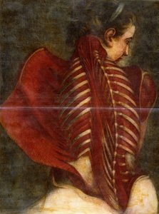 Stažený anděl, kolem roku 1745