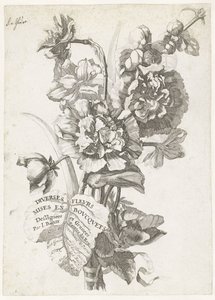 Titulní strana s kyticí pivoněk, z Diverses Fleurs mises en Bouquets, kolem 1670