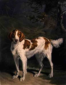 Dash, ryl Charles Turner (1773-1857), hospod. od R. Ackermanna ml. (mezzotintová rytina) od Jacques Laurent (after) Agasse