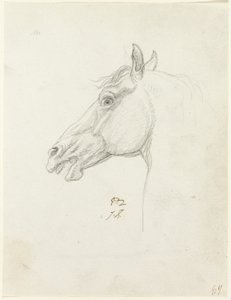 Koňská hlava od Jacques Louis David