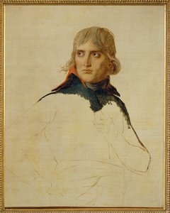 Napoleon Bonaparte ... od Jacques Louis David