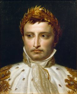 Napoleon I. v korunovačních šatech od Jacques Louis David
